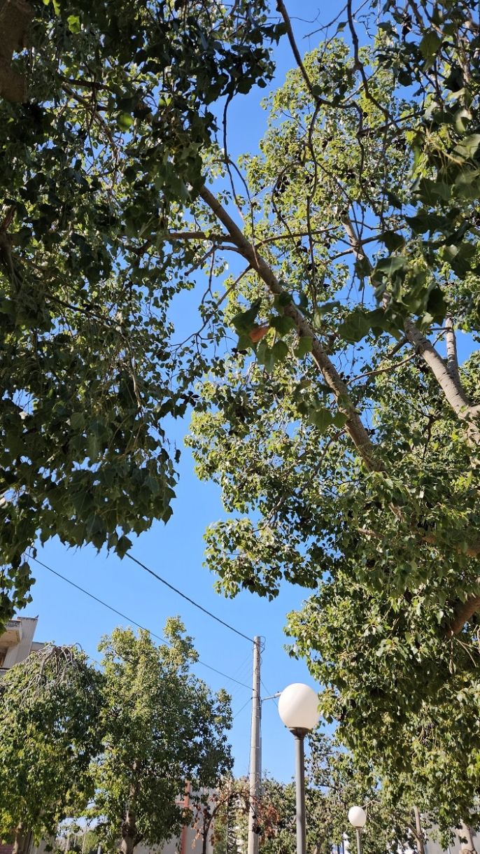 Γλυφάδα ο καιρός τώρα! Με 17 βαθμούς, ήλιο, μετά από βροχή και δυνατό αέρα