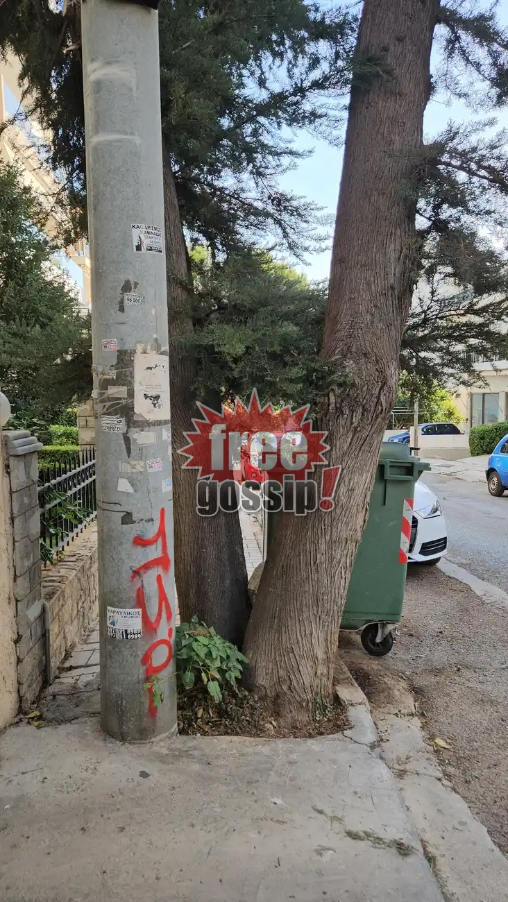 Καταγγελία για κλειστό πεζοδρόμιο Το απόλυτο survivor στην Άνω Γλυφάδα με τις κολόνες και τα δέντρα