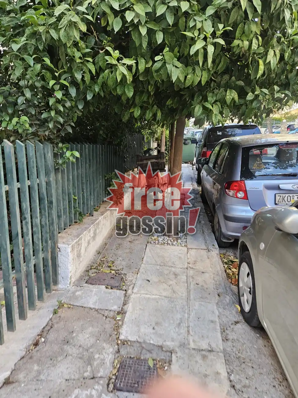 Άνω Γλυφάδα Καταγγελίες: Δέντρα-γίγαντες και αυθαιρεσίες σου απαγορεύουν να περπατήσεις στην πόλη σου