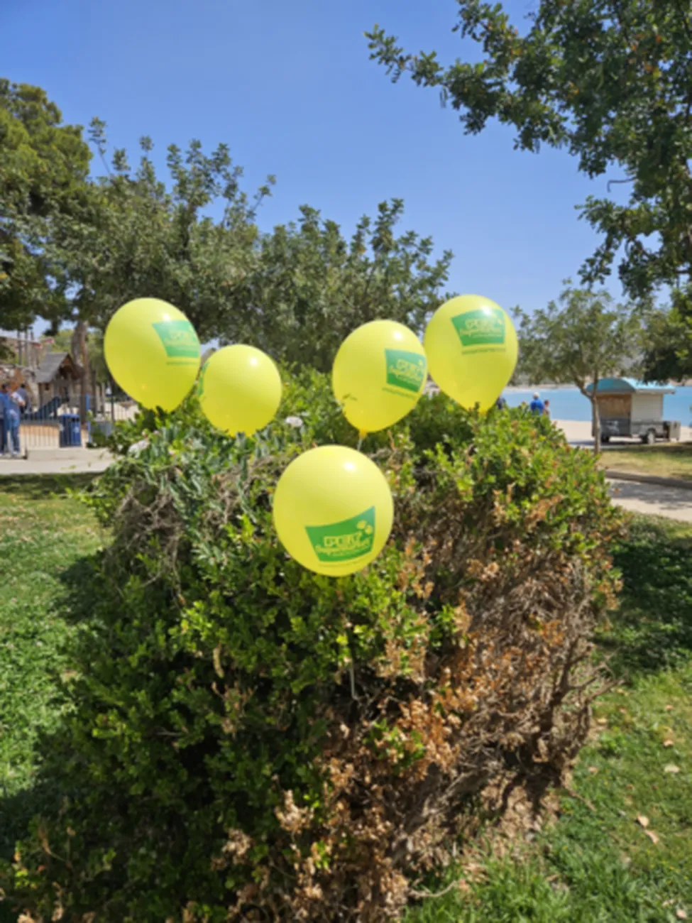 Νότια Προάστια: Γέμισε κίτρινα μπαλόνια η παραλία για την πιο συγκινητική ημέρα υιοθεσίας! (Video+Φωτό)